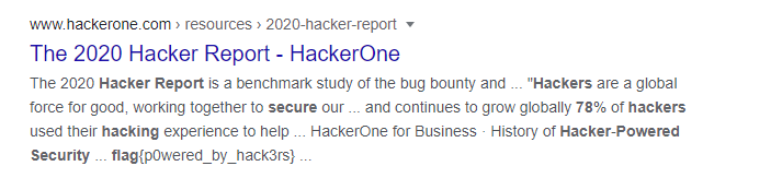 Security Report Powered by Hackers flag